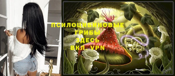 герыч Нея