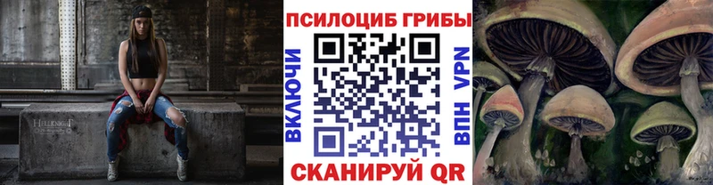 Купить закладки  Благовещенск  Галлюциногенные грибы мицелий 